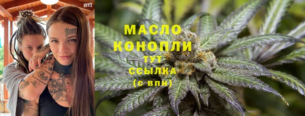амф Богородицк