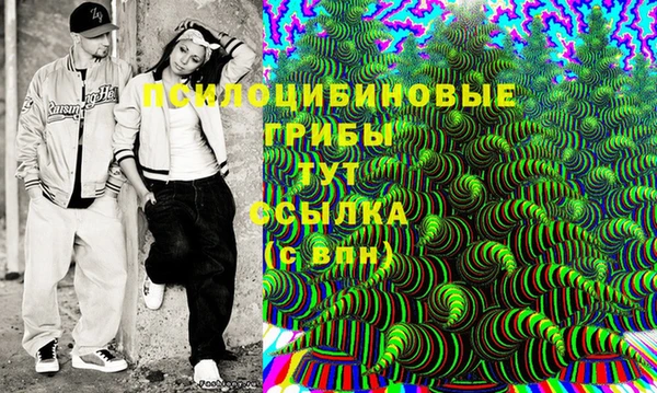 марки lsd Белокуриха